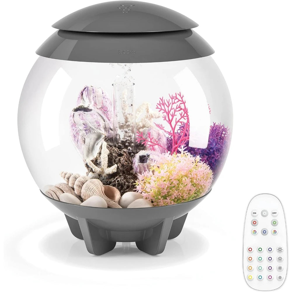 Mini Aquarium Modern Compact Water Tank