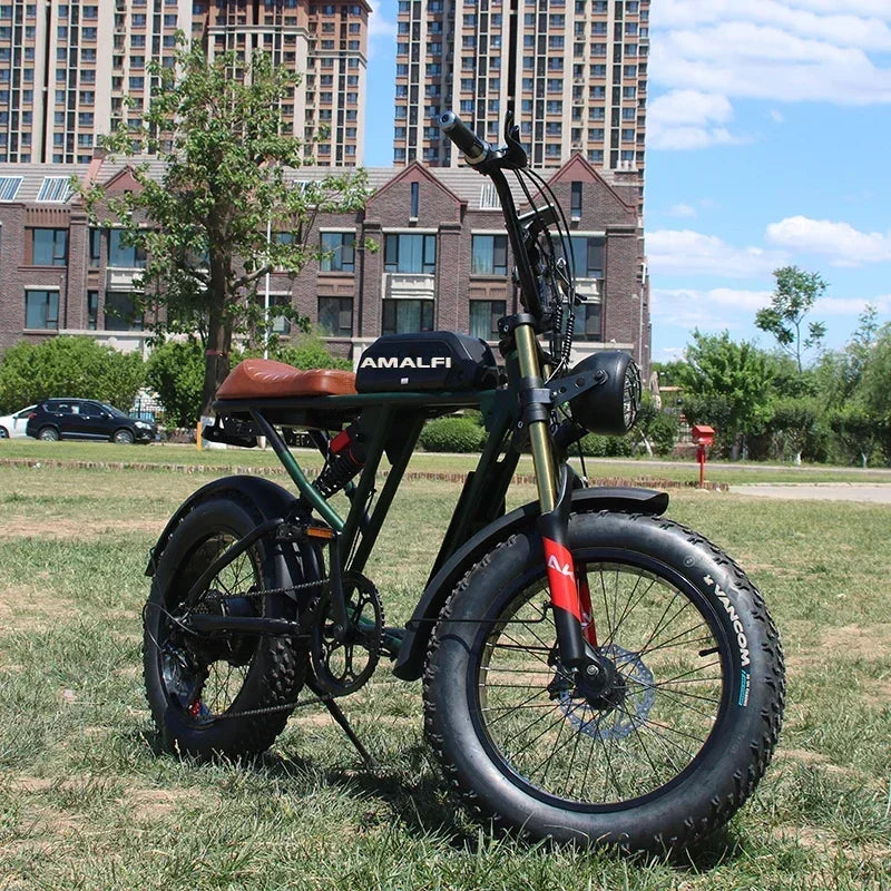 20 Inch Retro Two Wheel Electric Bike