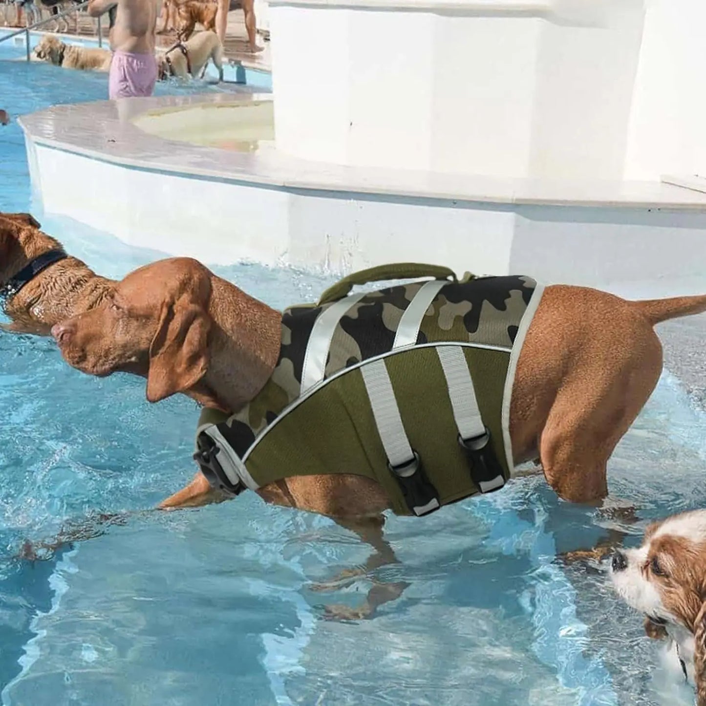 Dog Life Jacket with Reflective Stripes