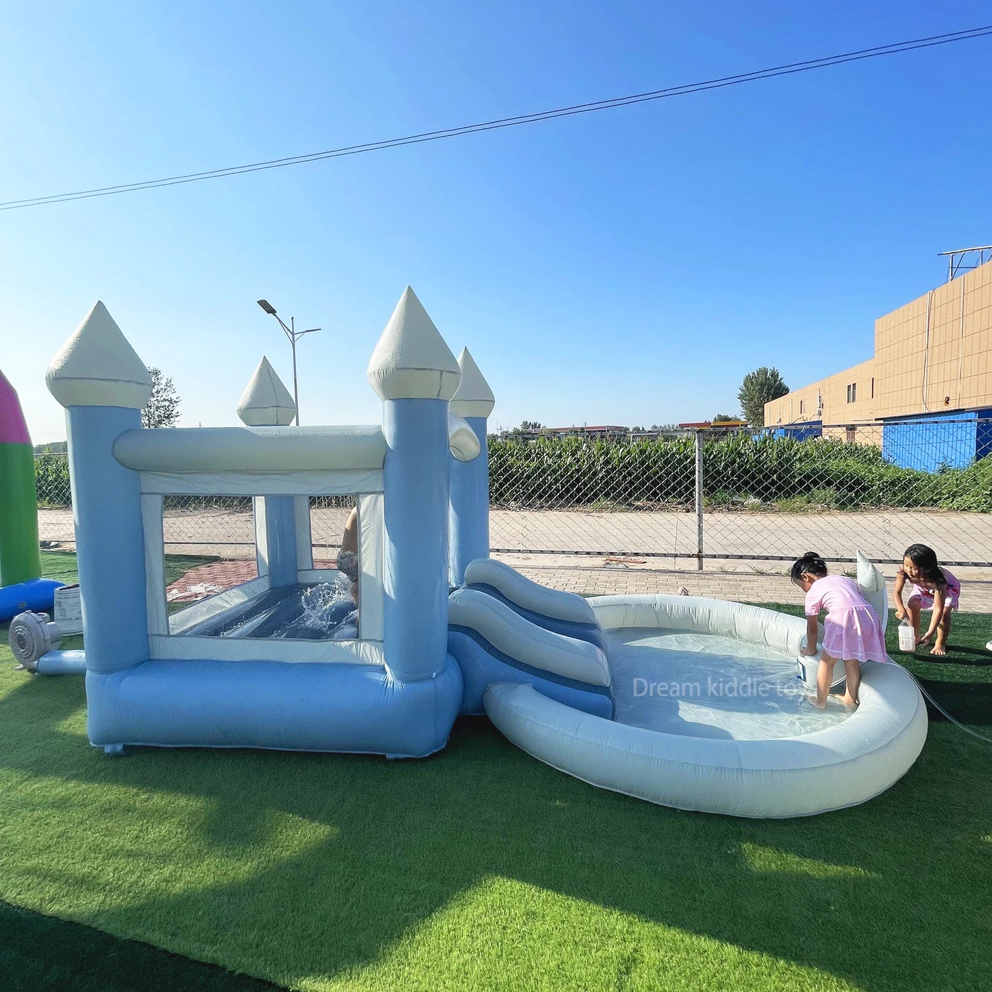 Water Park Outdoor Dolphin Water Slide With Ball Pit