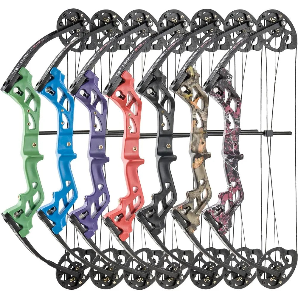 Archery Compound Bow, Compound Bow and Arrow