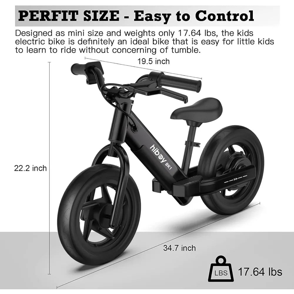 Electric Bike for Kids