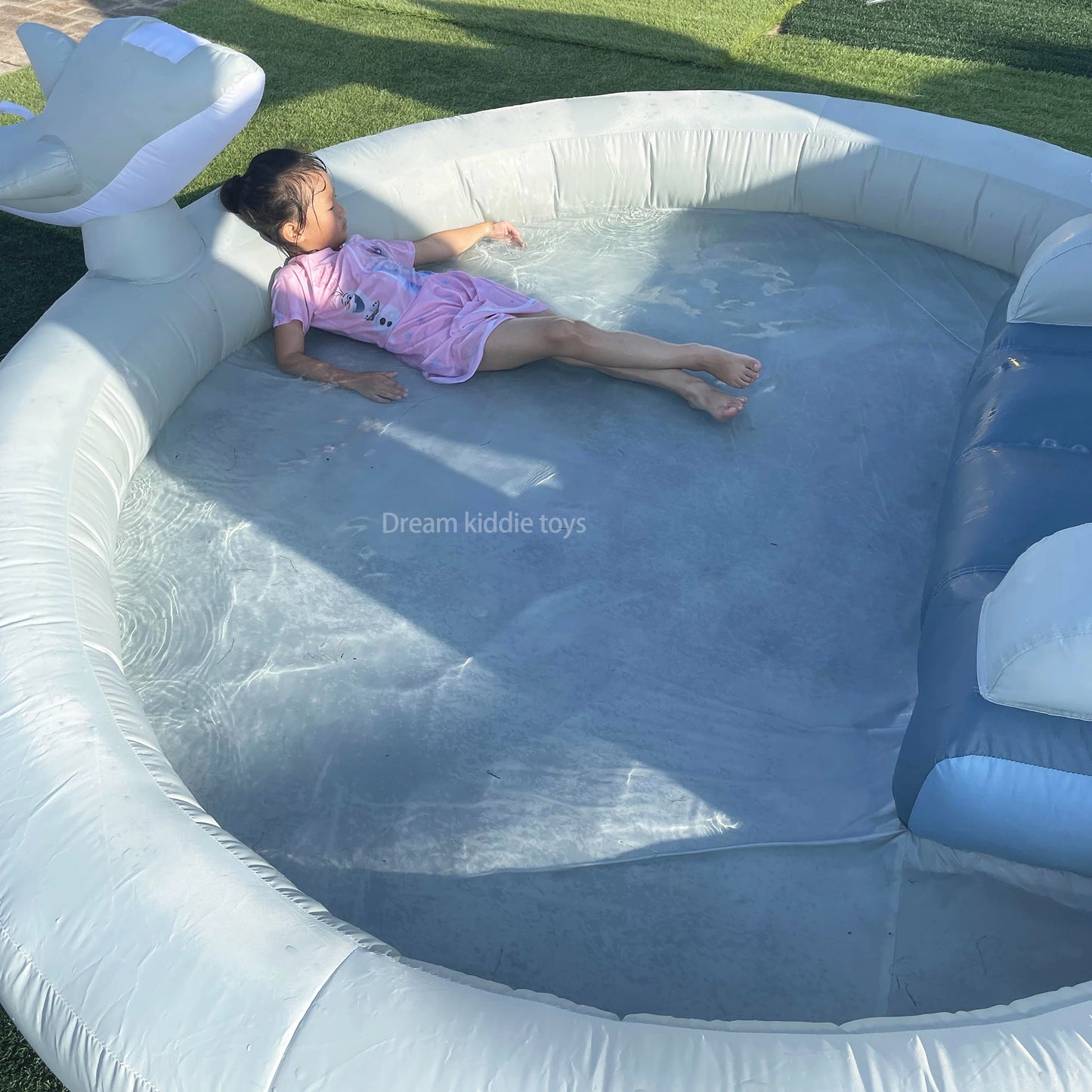 Water Park Outdoor Dolphin Water Slide With Ball Pit