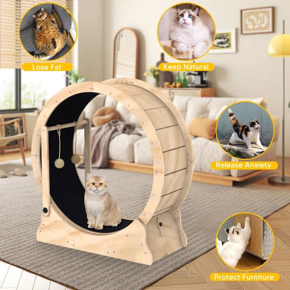 Toys for Cats Cat Running Wheel Treadmill With Carpeted Runway and Cat Teaser Pet