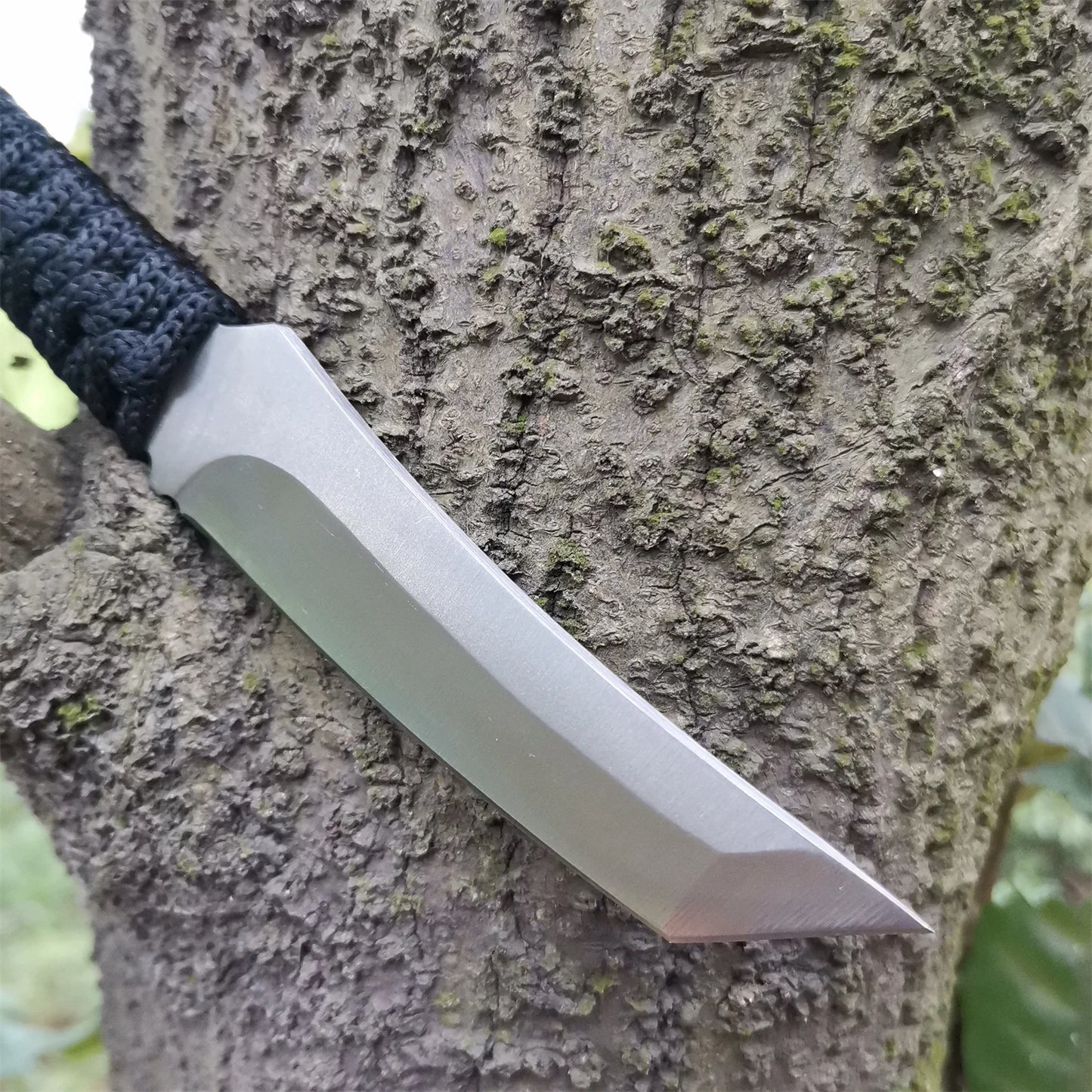 High carbon S.S. Fixed Blade Knife