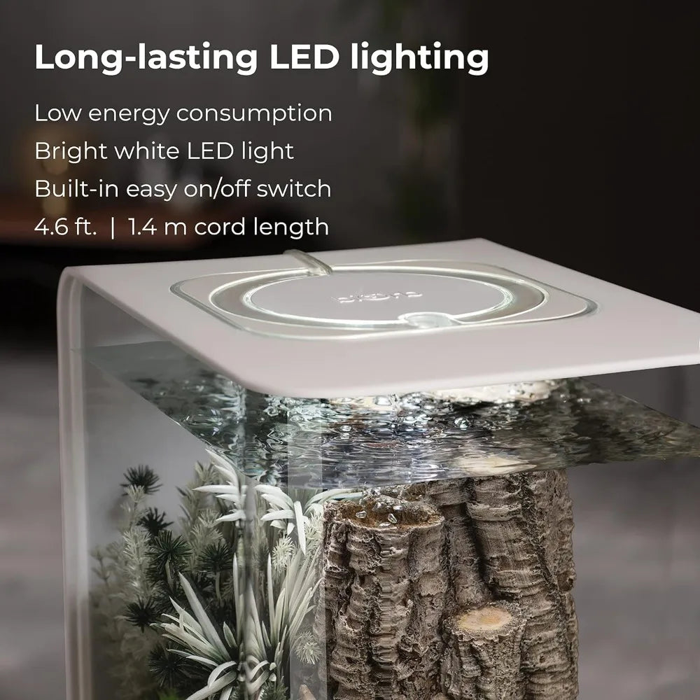 Acrylic Aquarium With White LED Light Modern Tank