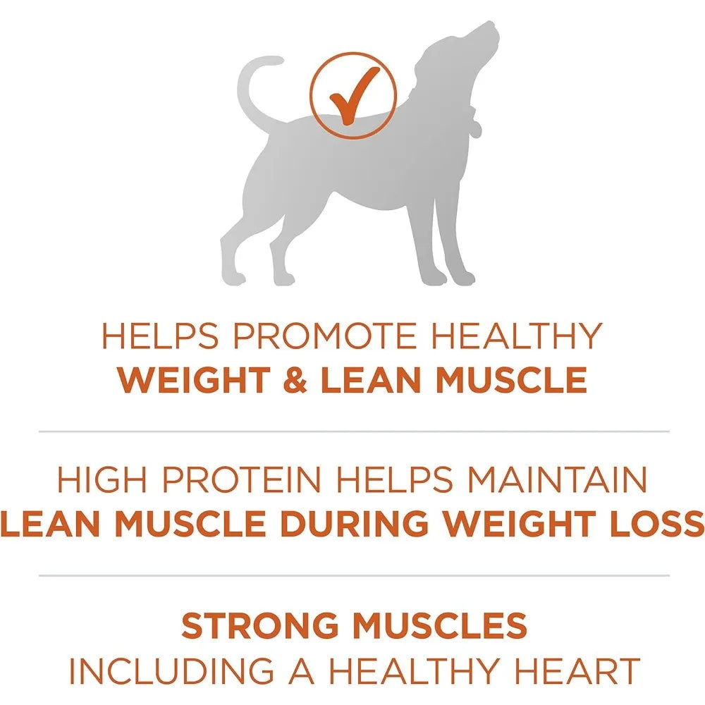 Plus Healthy Weight High-Protein Dog Food Dry Formula - 40 lb. Bag